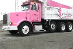 We took a large heavy duty truck & painted it pink to help promote the cause of curing breast cancer